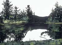 Bend In the Hoquiam River