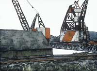 Cranes On the Duwamish