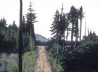 Road to the Highway