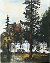 Forest Retreat
